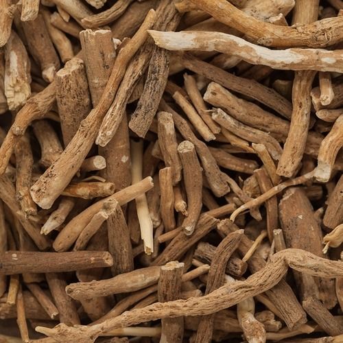 Racines d'ashwagandha séchées en plein cadre, plante adaptogène de l'ayurvéda