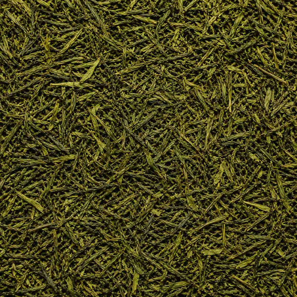 Feuilles de thé vert sencha séchées en plein cadre, antioxydant naturel anti-âge
