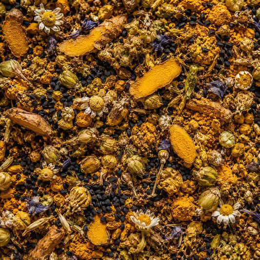 Mélange de curcuma, graines de nigelle et fleurs de camomille séchées, synergie d'actifs anti-inflammatoires naturels