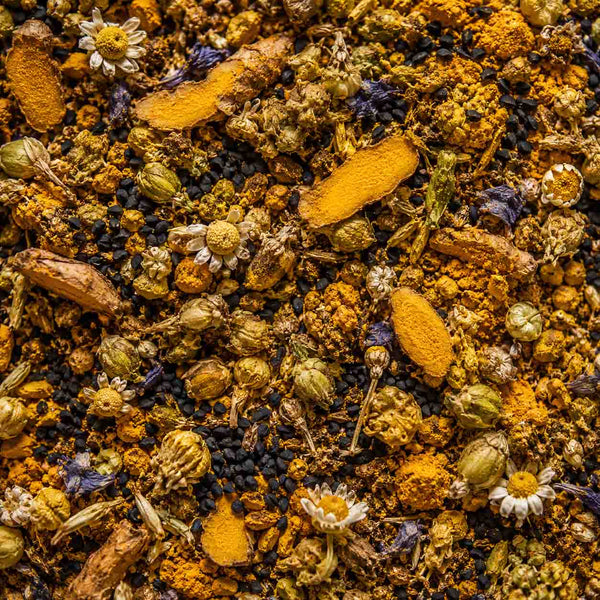 Mélange de curcuma, graines de nigelle et fleurs de camomille séchées, synergie d'actifs anti-inflammatoires naturels