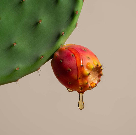 Huile de figue de barbarie : luxe naturel et exigence cosmétique