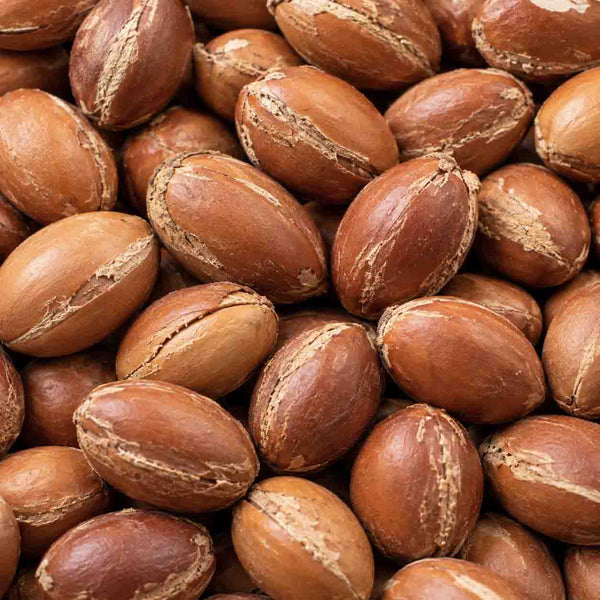 Noix d'argan brunes en plein cadre, matière première de l'huile d'argan cosmétique