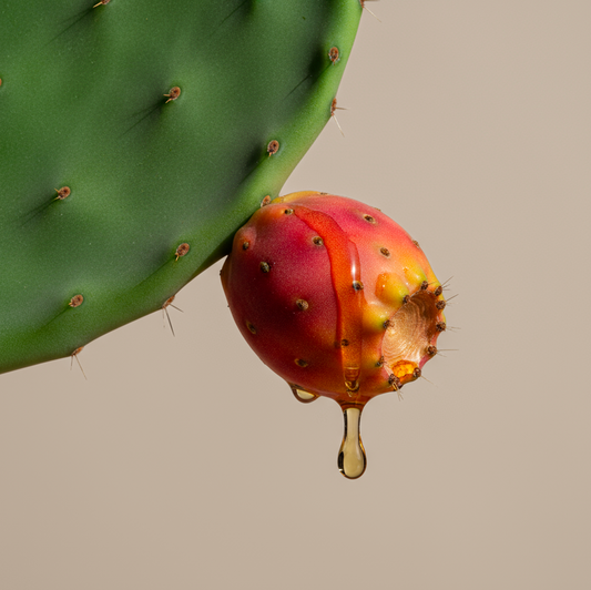 Huile de figue de barbarie visage : bienfaits, usages et pourquoi elle est si précieuse