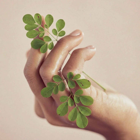Main tenant de jeunes feuilles de moringa, actif des soins naturels, sur fond rose poudré