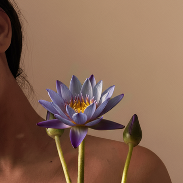 Fleur de lotus bleu posée près de l’épaule d’une femme, symbole de beauté naturelle, de douceur et de l’univers sensoriel Just avant
